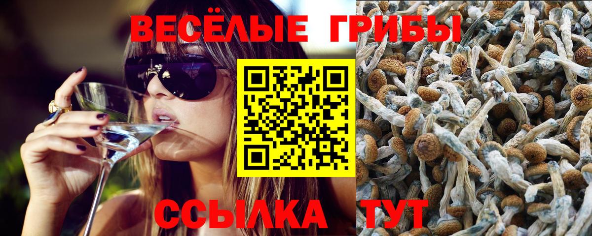 Псилоцибиновые грибы мухоморы  Галлюциногенные грибы MAGIC MUSHROOMS  Вход с VPN  Сальск 