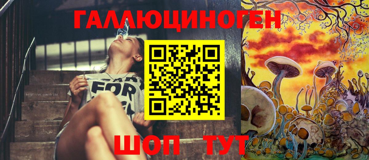 Псилоцибиновые грибы Psilocybe Сальск